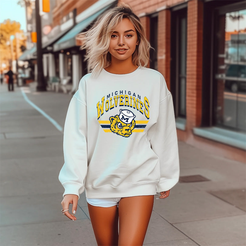 Michigan B DTF Transfer